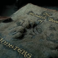 The Wizard's Grimoire