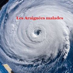 Les Araignées malades -  Like a hurricane (Neil Young) (remix 2014)