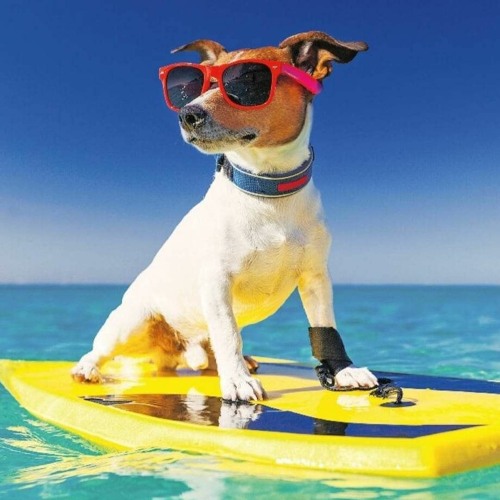 matsakouna Vol.2 (summer Mix Set 2023)
