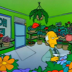 House Plants