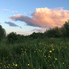 I'd Like to Walk Around in Your Mind - Slowed