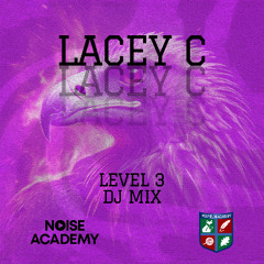 Foxfields Academy - Lacey [Level 3 DJ Mix]