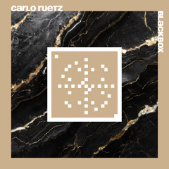 Carlo Ruetz - "Blackbox" (20 Years Systematic)