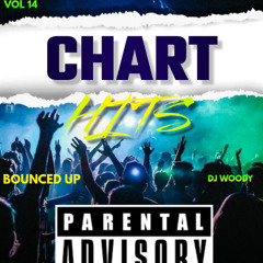 CHART HITS BOUNCED UP VOL 14