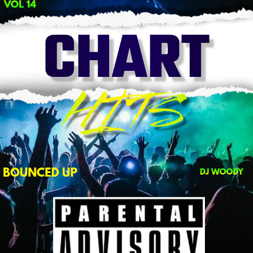 CHART HITS BOUNCED UP VOL 14