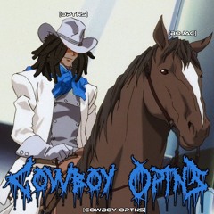 Cowboy OPTNS