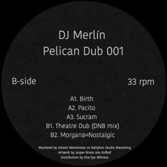[PREMIERE] Morgana=Nostalgic - DJ Merlín | Pelican Dub [2024]