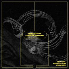 Rare Mamba - Break My Heart [CRIEP019]