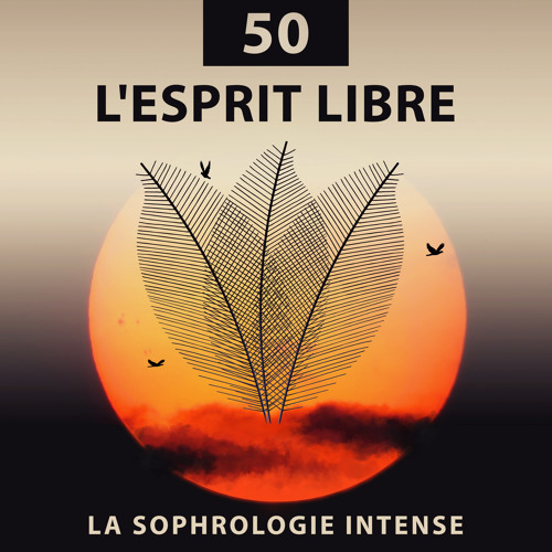 Listen To La Respiration Profonde By Zone De La Musique Relaxante In 50 L Esprit Libre La Sophrologie Intense Musique Zen Anti Stress Pour Detente Et Bien Etre Calme Sons De La Nature