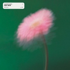Changed Habits - Feel New