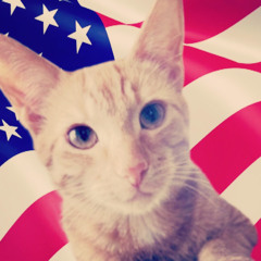 i would rather vote for my cat🐈(oxyhiiii x sl4yyer)