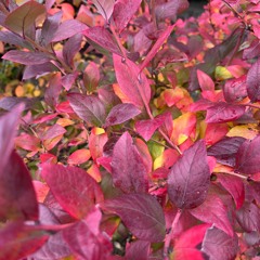 Autumn 2025: Liquid Drum & Bass