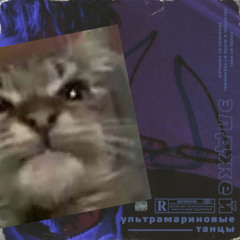 Элджей - Кит, ты маму мав? «Кіт, ти маму мав?»
