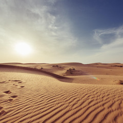 Desert Rose