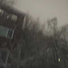 영 영/ 한로로 (커버)