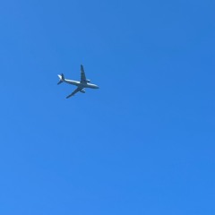 Fly High