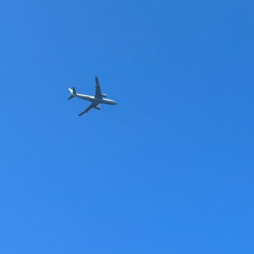 Fly High