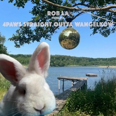 Rob La presents: 4PAWS Straight Outta Wangelkow Festival Vol. 4 | 2023