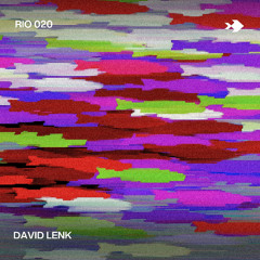 Rio 020 - David Lenk (recorded live at Bonanza 2025)