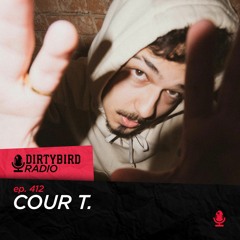 Dirtybird Radio 412 - Cour T.