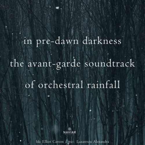 Orchestral Rainfall (naviarhaiku510)