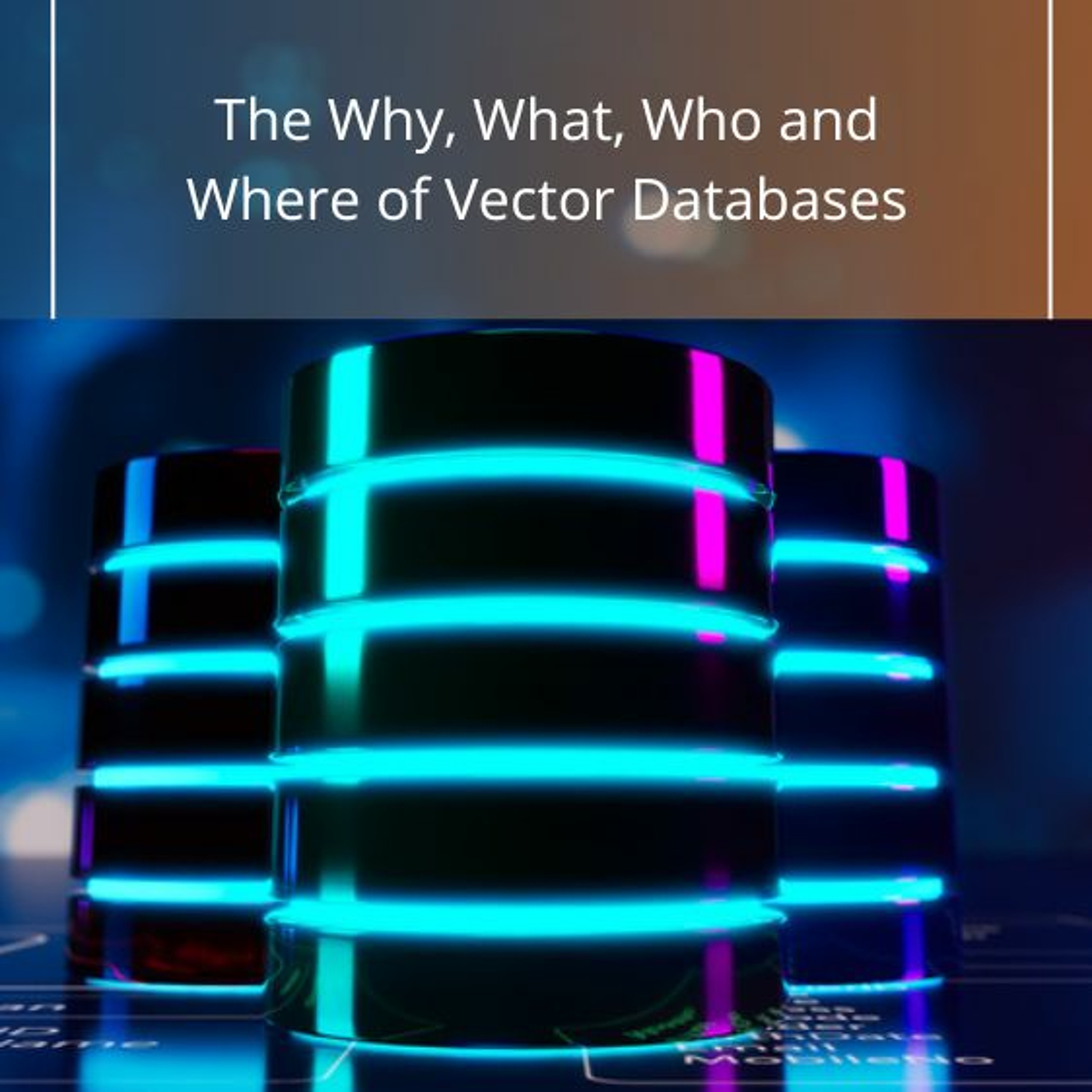 The Why, What, Who and Where of Vector Databases - Audio Blog