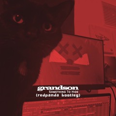 grandson - Something To Hide (redpanda bootleg)