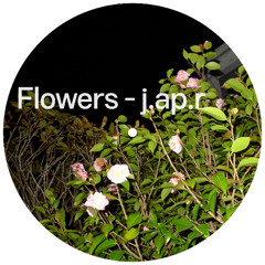 Flowers - j.ap.r