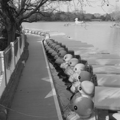 Mr Hoyer's Flagellation Machine