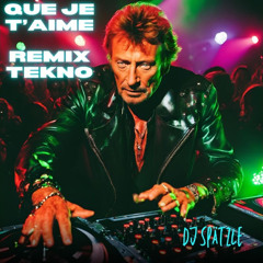Johnny Hallyday - Que je taime [Remix Techno]