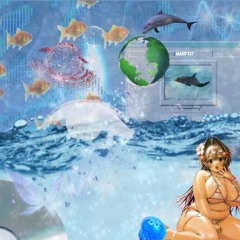 BBW lost at CD