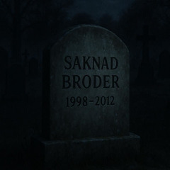 Saknad Broder (Swedish)