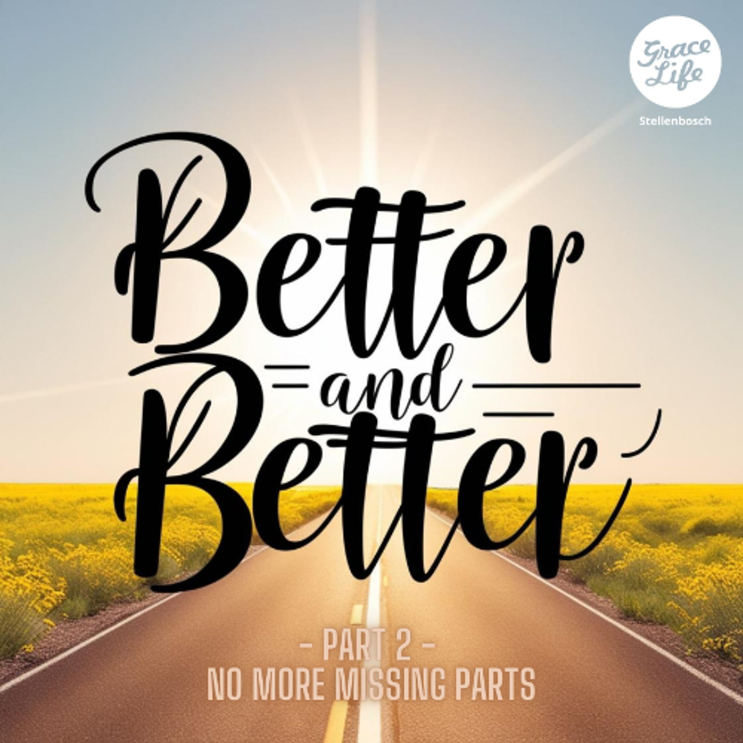 Better and Better-Part 2-No More Missing Parts-Pieter Weenink(Stellenbosch)