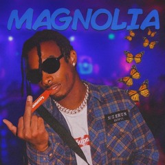 Playboi Carti - Magnolia (Yfy Edit) FREE DL