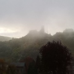 Poor Man's Poison - The Gallows (vocal cover)