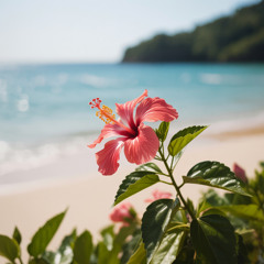 Summer Diaries