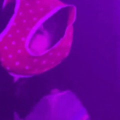 SUPER PLAY #9 - @Shimokitazawa LIVEHAUS ( 2023.12.16 )