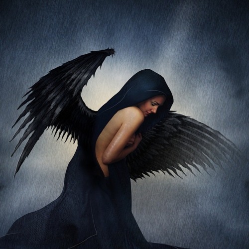 Dark Wind