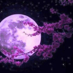 الشيخ سيدمتولى sh سوره البقره -1.mp3