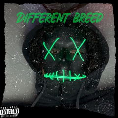 Different breed