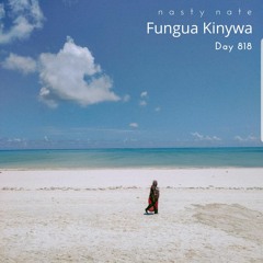 n a s t y  n a t e - Fungua Kinywa. Day 818 - DANCE & SOULFUL HOUSE