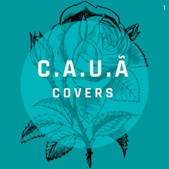 Flutua - Johnny Hooker Part. Liniker (Cover - Cauã)