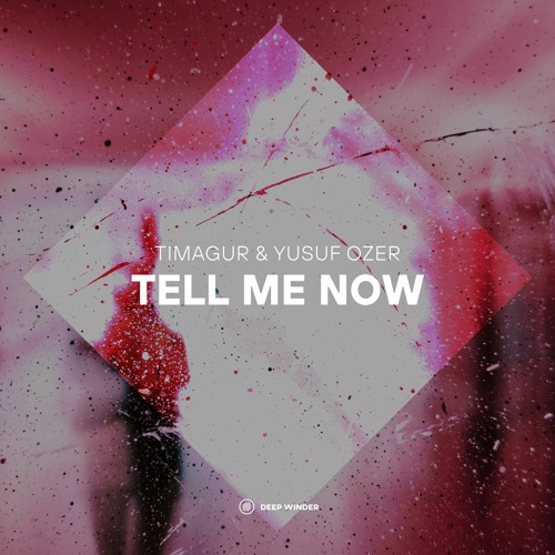 Timagur & Yusuf Ozer - Tell Me Now