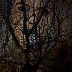 you will become a memory