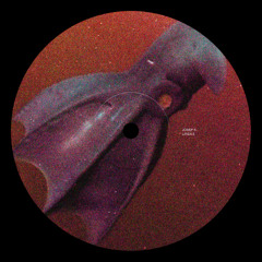 Josef K. - Weando en el Raval (Original Mix)