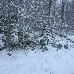 Two Winters
