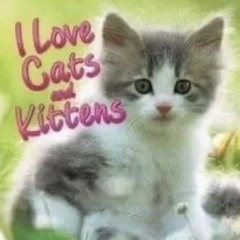 return the slab - i experienced love