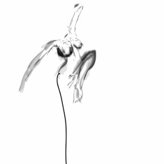 Coco Noir - Waking Up - (Test Stems Dec 10)