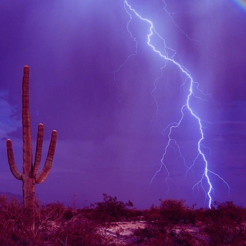 b l e s k  prod. kyle junior