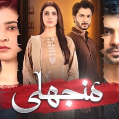 Wo Ishq Hi Kia (OST Manjhli)